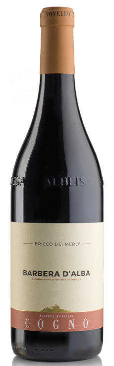 Elvio Cogno Barbera D'Alba 2021