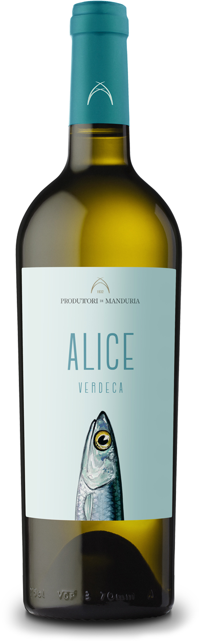 Alice Verdeca 23